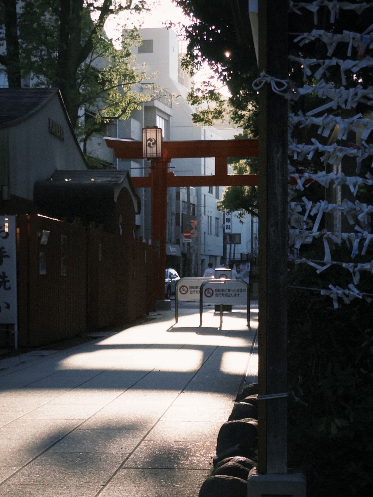 背景